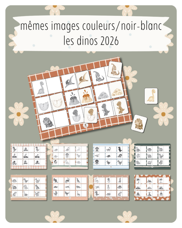 9. Mêmes images couleurs / noir-blanc – Les dinos 2026