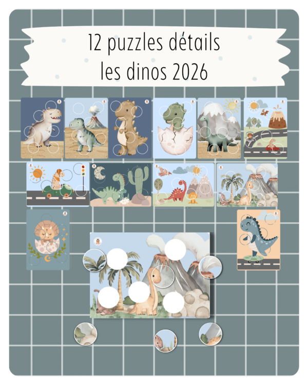 23. 12 puzzles détails — Les dinos 2026