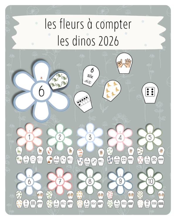 28. Les fleurs à compter — Les dinos 2026