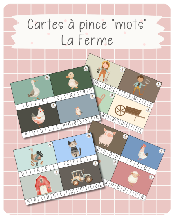17. Cartes à Pince Mots — La Ferme