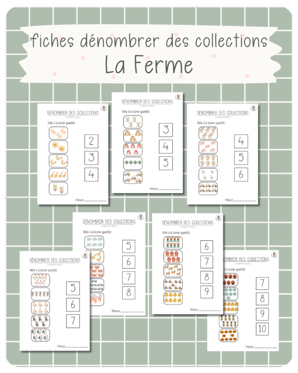 44. fichiers dénombrer des collections - LA FERME