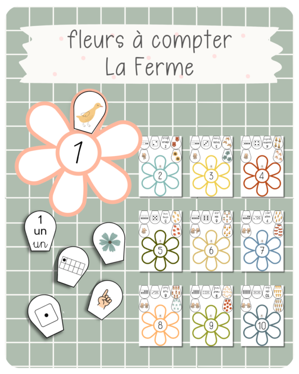 28. Les fleurs à compter — La Ferme